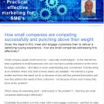The Industrial Marketing Agency Newsletter, November 2013: How small companies are competing successfully